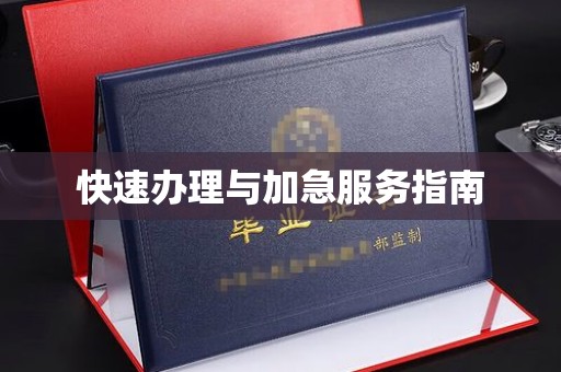 沧源快速办理与加急服务指南