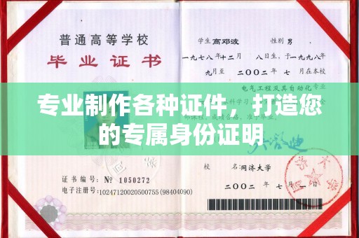 沧源专业制作各种证件，打造您的专属身份证明