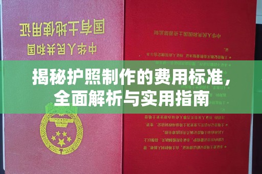 沧源揭秘护照制作的费用标准，全面解析与实用指南