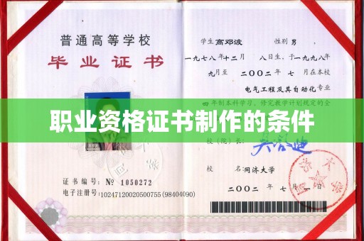 沧源职业资格证书制作的条件