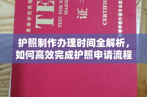 沧源护照制作办理时间全解析，如何高效完成护照申请流程